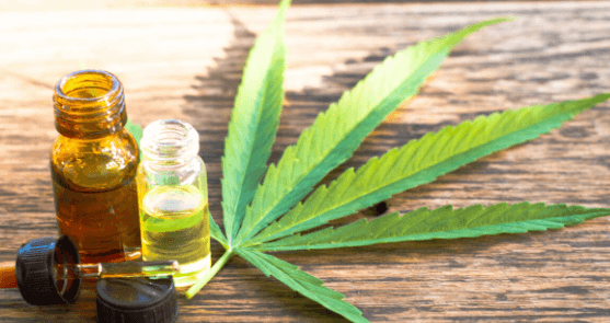 The Remarkable Benefits of Cannabis: Unveiling Nature’s Therapeutic Ally