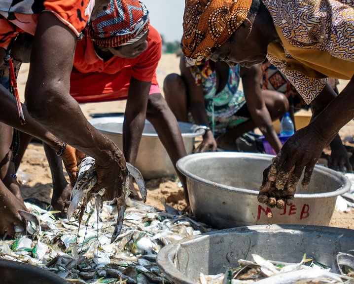 enterprise activity register numbers